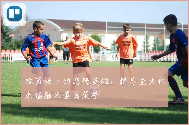 绿茵场上的悲情英雄，拼尽全力也未能触及最高荣誉